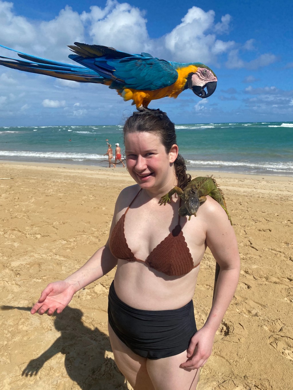 Me on the beach with a parrot on my head and a gecko on my shoulder