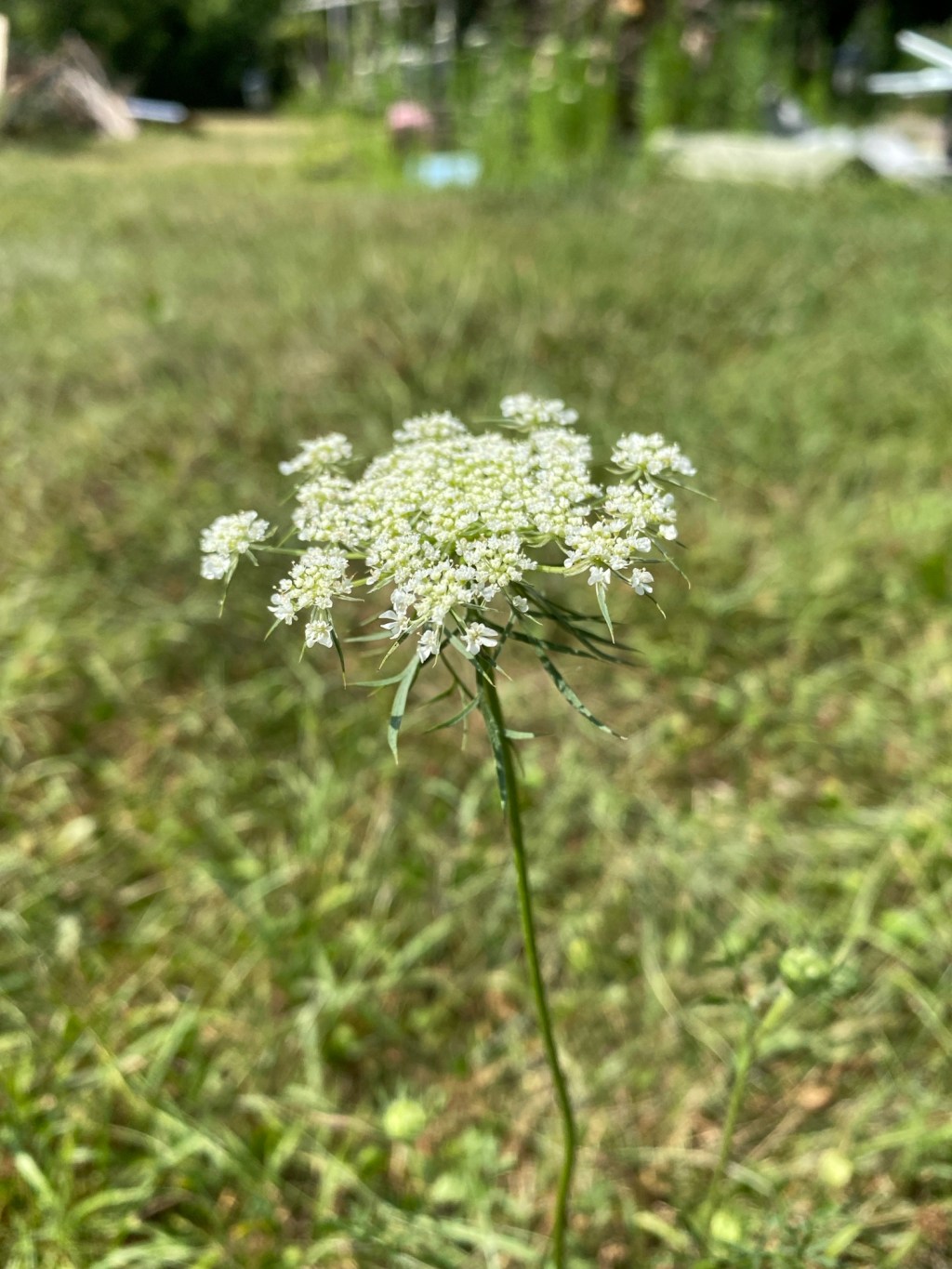 Untitled post 28118